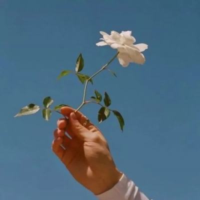 封神传之游戏三界手游(暂未上线)v1.0 安卓版